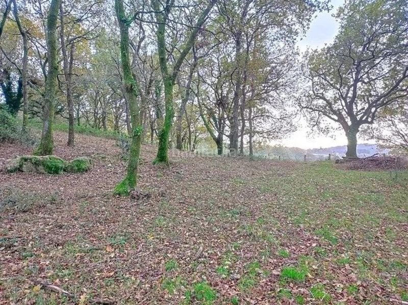 Foto 76845bda-6aaf-42d4-b720-aa41740b6d6d. Masia a Estrada (A)