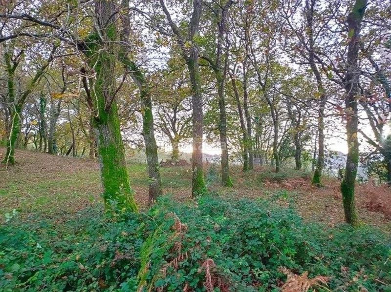 Foto 8220fae8-4851-4899-9534-ad2bf4411c98. Masia a Estrada (A)