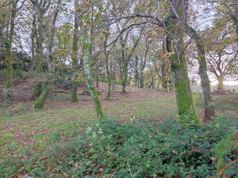 Foto c11100e5-118b-4c36-a6b9-331f79329f9f. Masia a Estrada (A)