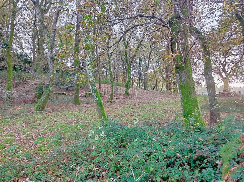 Foto e76cb205-1798-498e-944a-86c8a419597d. Masia a Estrada (A)