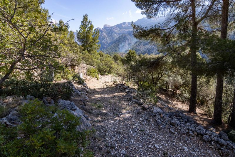 Foto 4b6293b0-b6c6-4805-a52a-b83bc423467b. Finca rústica en Sóller