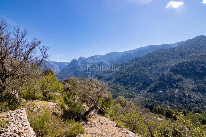 Foto 4c7fea57-9bc5-4964-b6a2-4cb1147864da. Finca rústica en Sóller