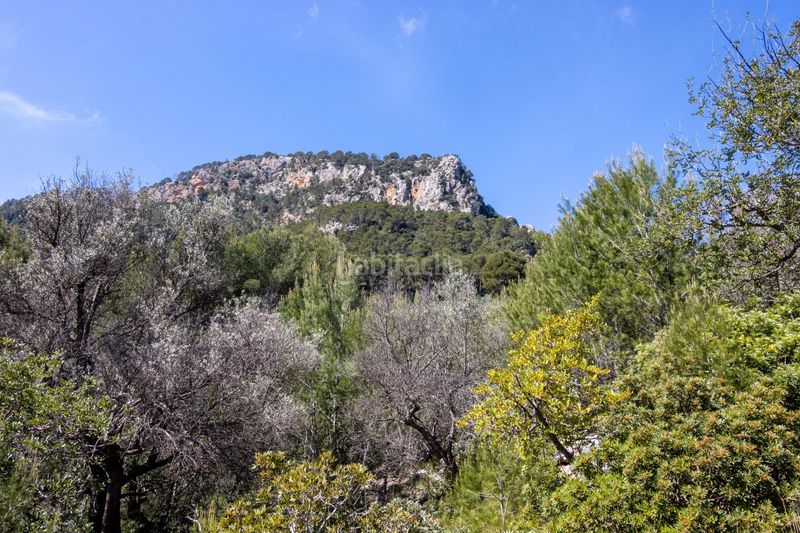 Foto 5f6a81e3-1748-4413-9470-3c42c7a66ff4. Finca rústica en Sóller