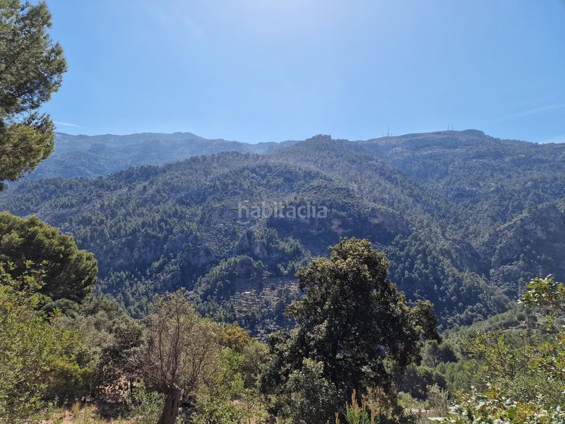Foto 8b9874e7-ba21-4d33-8270-508eddb81fb9. Finca rústica en Sóller