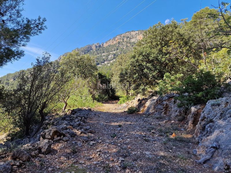 Foto a8f6eb33-c2c9-4765-885f-59ac79351f99. Finca rústica en Sóller