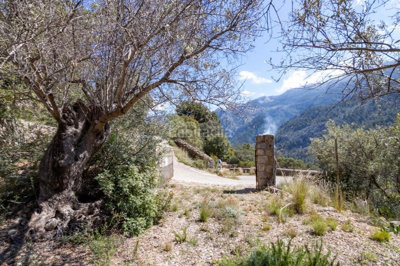 Foto a99b8902-2a02-42b1-8eb8-34926f979f88. Finca rústica en Sóller