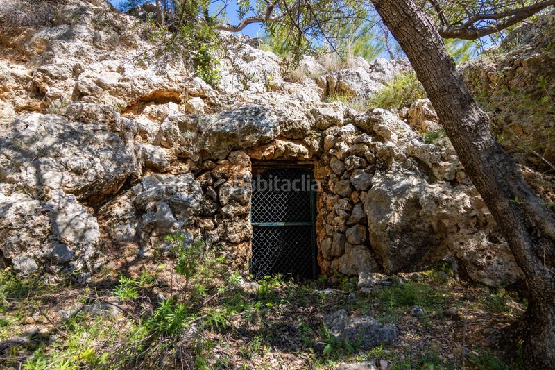 Foto ebd781d3-7d73-4962-837b-528464e4c172. Finca rústica en Sóller