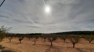Wohngrundstück in Almansa