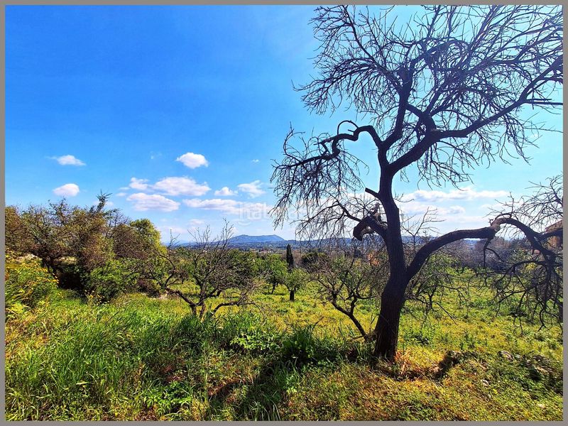 Foto c7b78eec-3c0f-4816-ba6e-e4ba2f860971. Casa en Selva