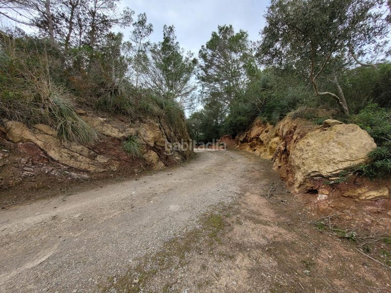 Foto aaefdc48-e8b7-4ab5-99ff-09bf5219c52a. Casa amb calefacció aparcament piscina a Es Grau-Serra Morena Maó / Mahón