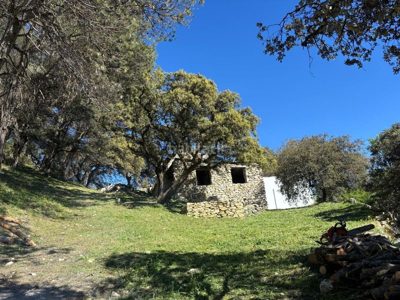 Foto f8e0fec8-f6e2-4051-b376-4bd88f8da260. Finca rústica en Loja