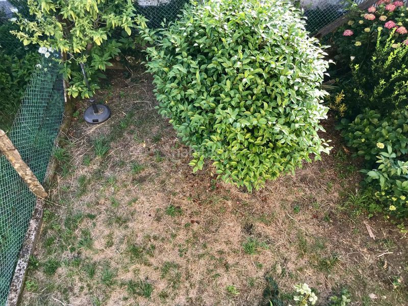 Foto 4b70927b-666a-46cd-94c3-3d17f9e2b6ad. Casa amb aparcament a Noia