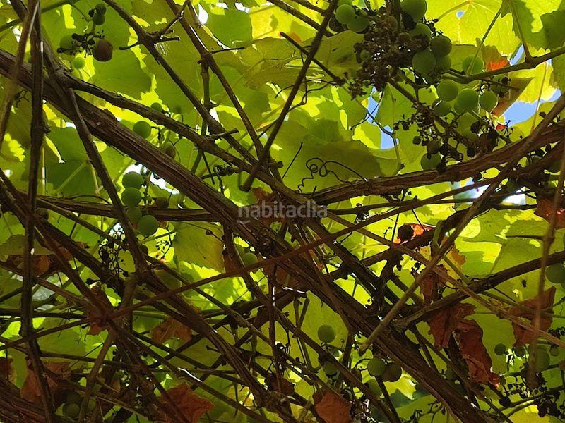 Foto 45d00494-5e26-452a-975f-5e0da52adbe0. Finca rústica a Teo
