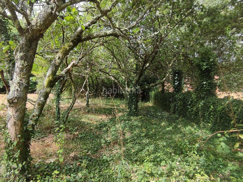 Foto 6fd99742-6007-4d6d-9bde-1991eb8abbb9. Finca rústica a Teo