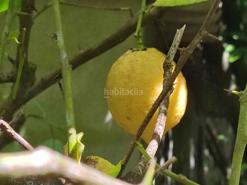 Foto 7185cd57-758c-4384-ba28-293900b17319. Finca rústica a Teo