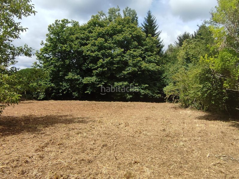 Foto 830dd0b9-7949-4f01-b8a1-068f59f5579b. Finca rústica a Teo
