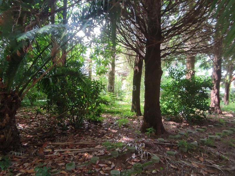 Foto a40f43ff-5a8e-404d-b9b3-1f2cb6d5aff1. Finca rústica a Teo
