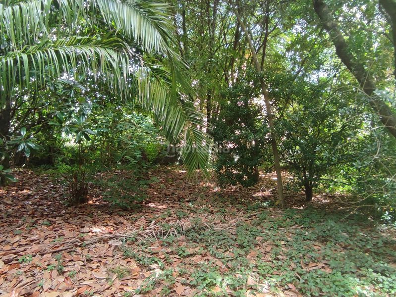 Foto ad686eed-9697-4441-99f5-183f03a25124. Finca rústica a Teo