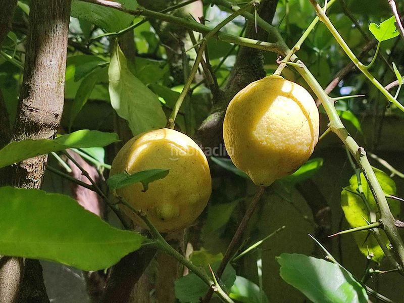 Foto b68c19be-f80c-416e-b20d-13f2139d5ca2. Finca rústica a Teo