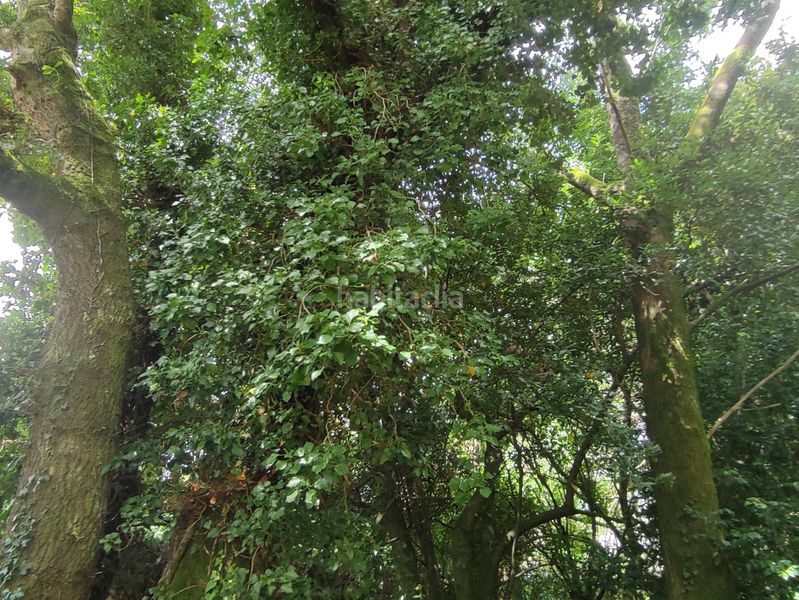 Foto e431dbc6-de1b-47c1-9d10-e5e5001f2524. Finca rústica a Teo