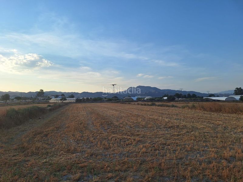 Foto 47ea80b9-231f-4a08-bb6d-cf273b2a4069. Finca rústica a Puerto Lumbreras