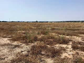 Residential Plot in Almansa