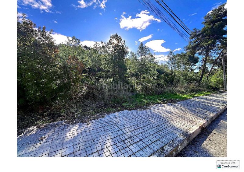 Foto 3c389b94-d1dc-4092-91dd-183cb4cbcf61. Terreny residencial a Olivella