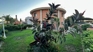 Haus in Roda de Barà