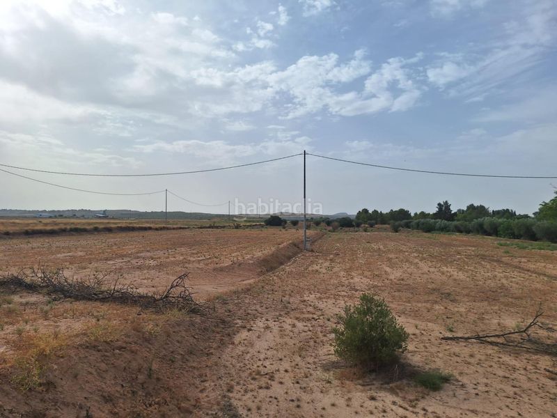 Foto 2f094a61-b561-4457-b950-228205bd94ed. Terreny residencial a La Paca Lorca
