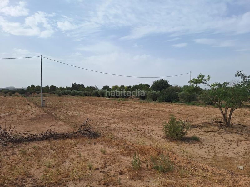 Foto b1c148db-2ea7-4238-9c85-2eed3ad03c7c. Terreny residencial a La Paca Lorca