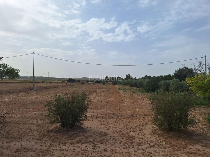 Foto c8dc588f-24f5-4231-9ab3-3ce70cfdd078. Terreny residencial a La Paca Lorca