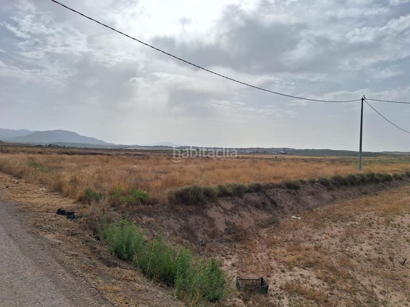 Foto d37d48b4-f425-440c-814a-ad9a88fc4484. Terreny residencial a La Paca Lorca