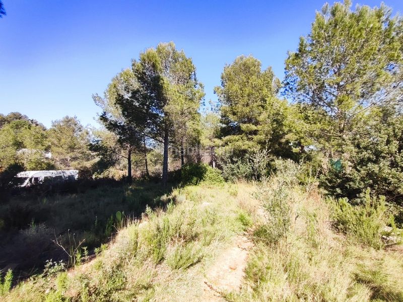 Foto 5b60929e-fa97-4f8d-a06b-e8e346c6565e. Finca rústica a Alfara de Algimia