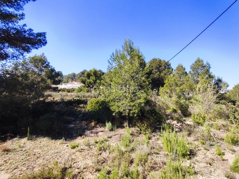 Foto 73c07b23-ddb0-4022-9a67-b1722a7ceb86. Finca rústica a Alfara de Algimia