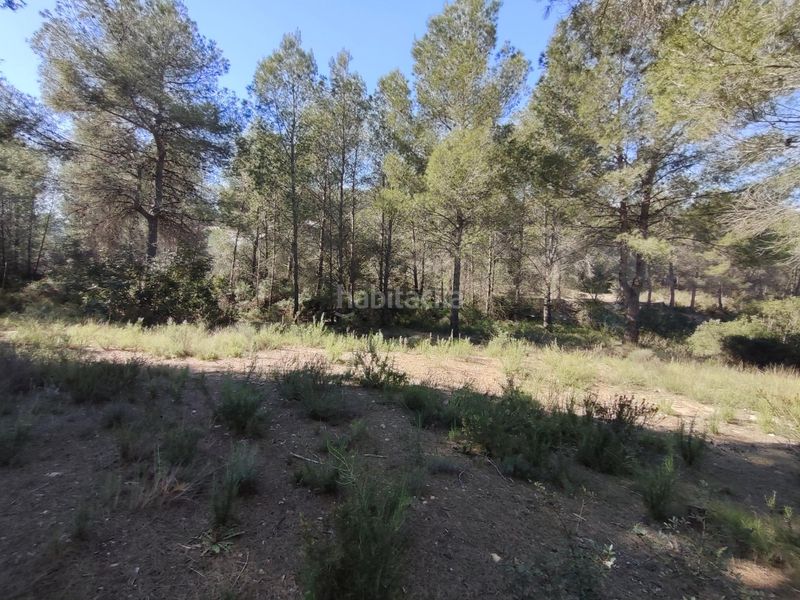 Foto af969dc3-8e5e-4026-bc3d-56f5fe6ef431. Finca rústica a Alfara de Algimia