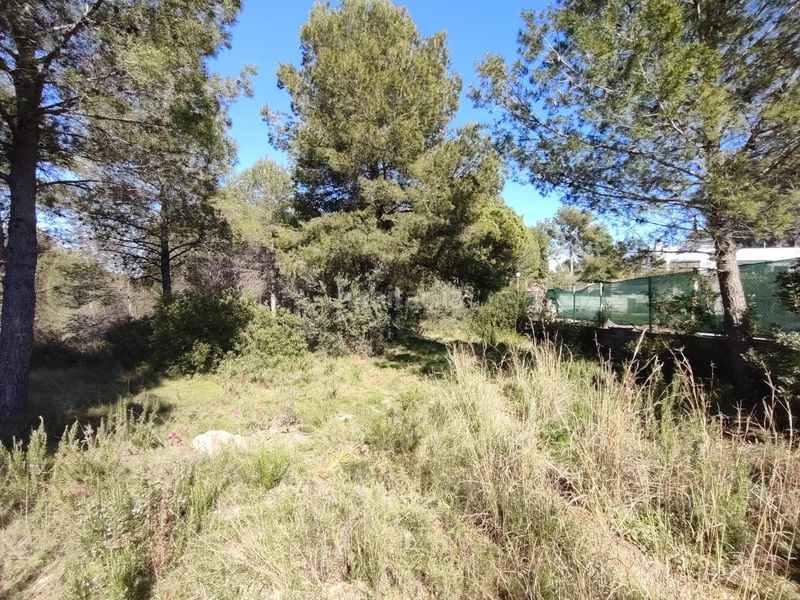 Foto c1880d5c-aafe-44b4-a884-f65483d8d9d0. Finca rústica a Alfara de Algimia