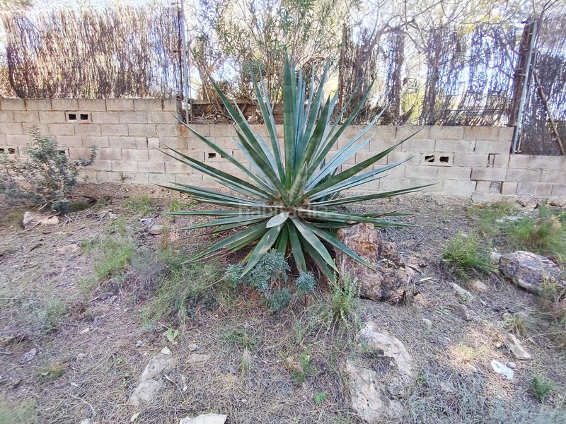 Foto c82c6f1c-9b14-4c42-80b9-032a41ea0b80. Finca rústica a Alfara de Algimia