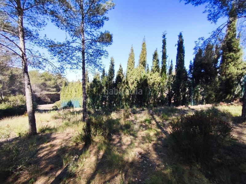 Foto cf9a7be7-1c87-49d4-8b96-ea74f2101a59. Finca rústica a Alfara de Algimia