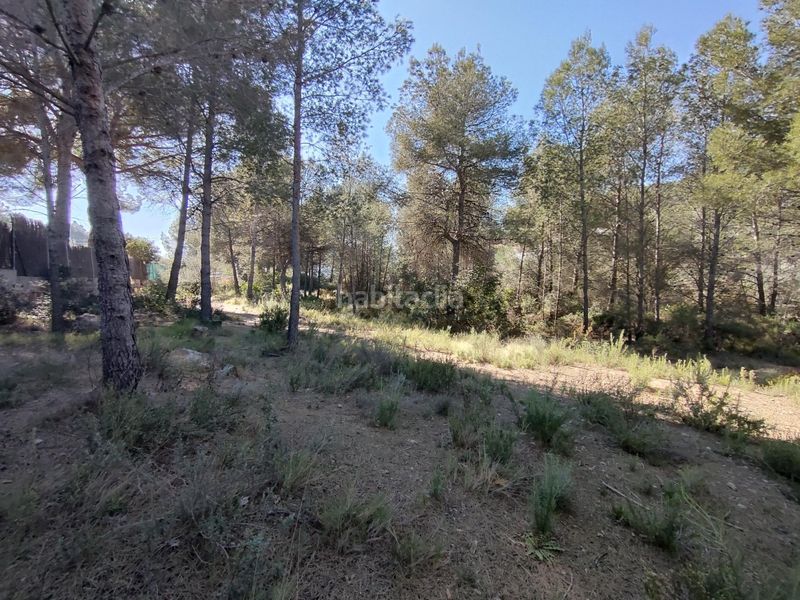 Foto e7ef3623-bfa8-4a9c-9c2a-354dc6c702b5. Finca rústica a Alfara de Algimia