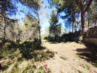 Fondo rustico in Alfara de Algimia