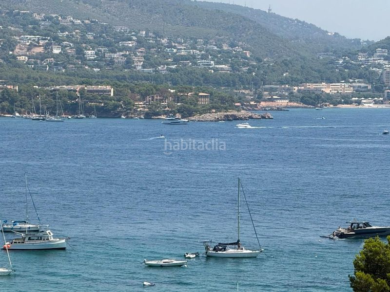 Foto a690b0a6-32d2-4701-baa0-a21d5c35f6e5. Pis a Magaluf Calvià