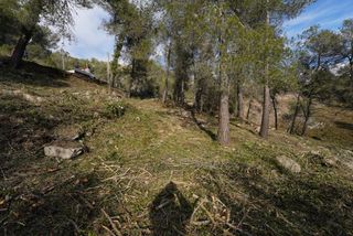 Terreny residencial a Olesa de Bonesvalls