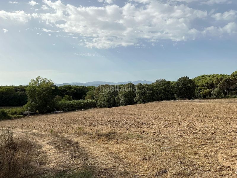 Foto b3d5ad97-c1e3-4a22-8c1a-3d523f228b26. Finca rústica a Aiguaviva Parc Vidreres
