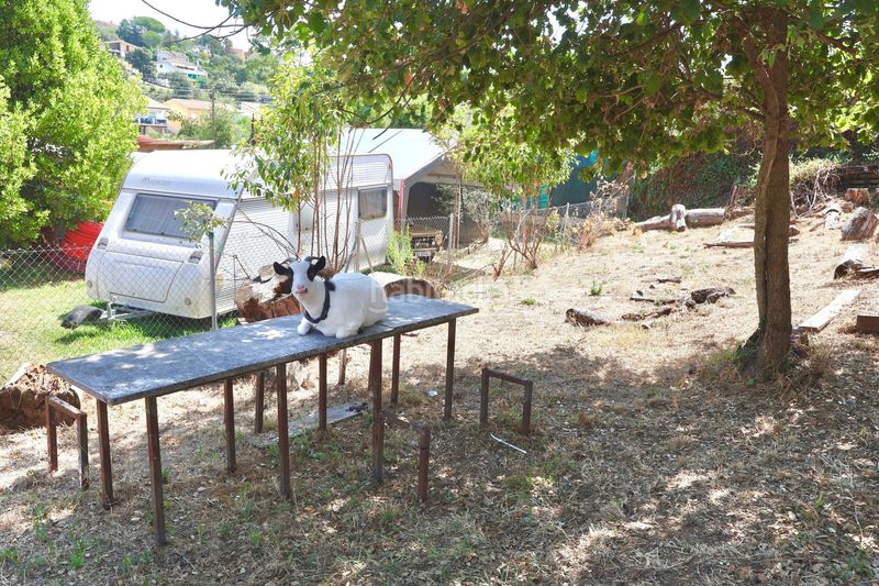 Foto 3eccc10e-70be-467c-b8f5-646cda7bc5a2. Casa a Riells i Viabrea