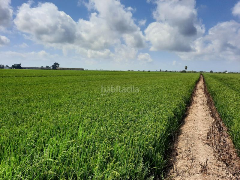 Foto 6ff104a2-d349-4d18-a302-55f91418597e. Finca rústica a Sant Jaume d´Enveja