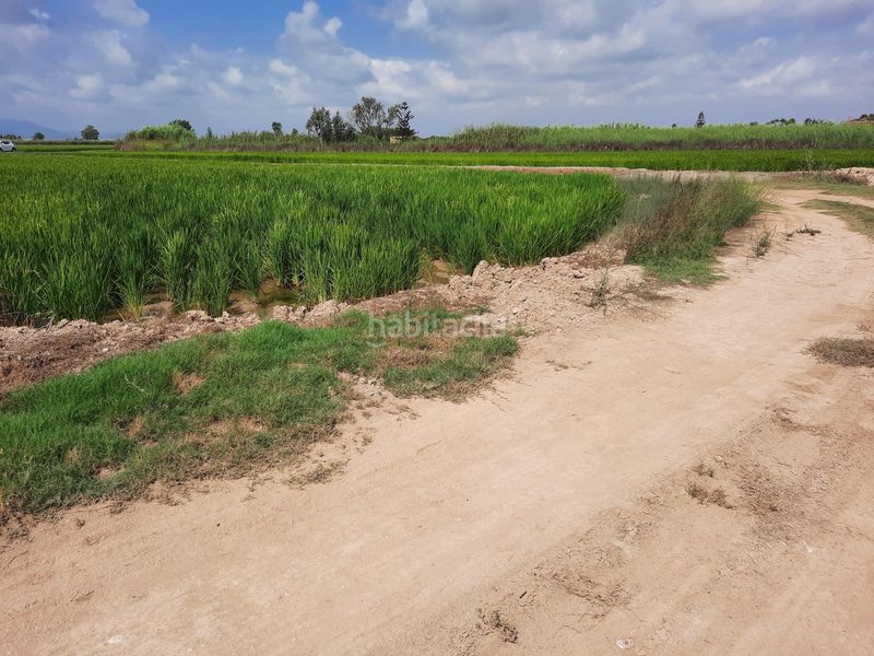 Foto adba8aee-4b3f-4b38-a1b0-2d56b0fa6750. Finca rústica a Sant Jaume d´Enveja