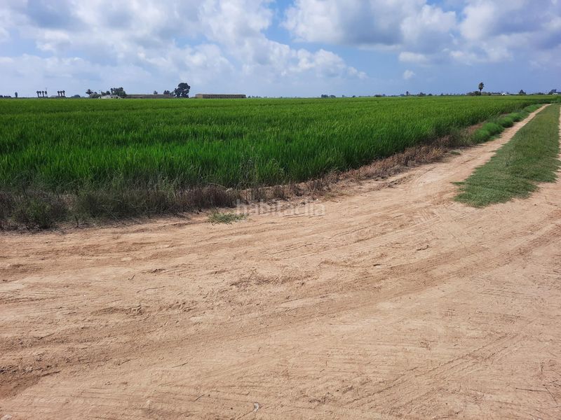 Foto c5a72f17-9c31-4766-986e-7de44b9d1485. Finca rústica a Sant Jaume d´Enveja