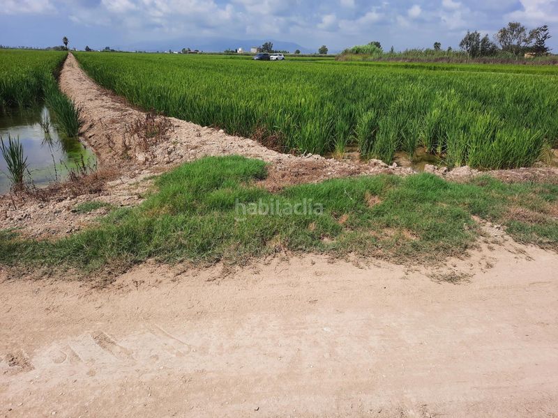 Foto e792b297-2042-4922-9c8f-55038d2e245d. Finca rústica a Sant Jaume d´Enveja