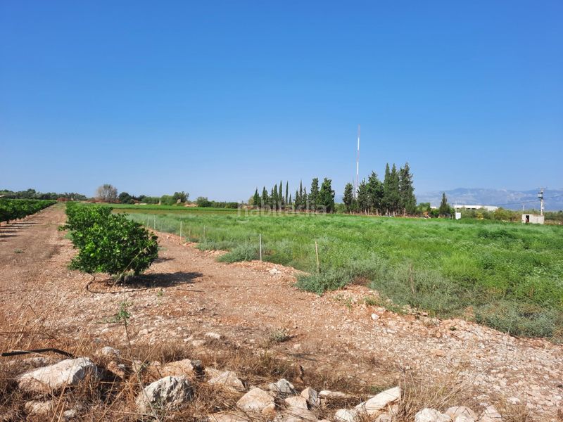 Foto 46e89040-a2db-4521-867d-47b562b2d7a8. Finca rústica a Santa Bàrbara