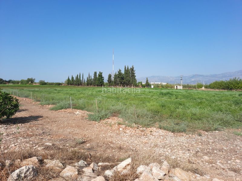 Foto 5d17f094-9b4b-4fff-b7c6-e64bf2fee344. Finca rústica a Santa Bàrbara